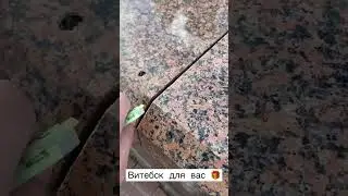 📍Витебск, дарим подарки🎁