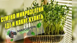 ☘ МИКРОЗЕЛЕНЬ ДОМА НА ПОДОКОННИКЕ ☘ СЕМЕНА: ГДЕ И КАКИЕ КУПИТЬ ☘ ГОРОХ, ПОДСОЛНЕЧНИК, РЕДИС