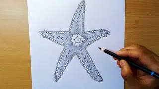 starfish drawing || how to draw a starfish || starfish pencil sketch || sea pentagon diagram