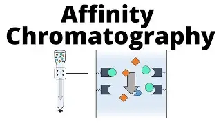 Affinity Chromatography