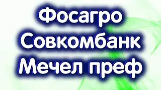 Фосагро, Мечел преф., Совкомбанк. Дивиденды. Индекс МосБиржи. Обзор 14.11.2024