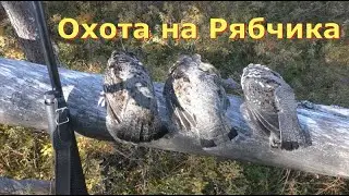 ТРУДОВАЯ ОХОТА НА РЯБЧИКА//Разведка новых мест