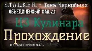 ✅Сталкер ОП 2.1 - Объединенный Пак 2.1. [ЦЗ Кулинара]