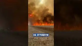 На полях Кубани находят лупы, которые оставляют поджигатели 🤬