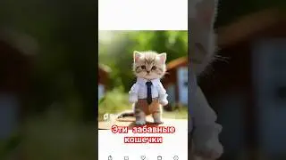 Эти забавные котята.