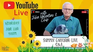 Summer Gardening Q&A with John Valentino (and Chip! 🐶)