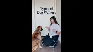 Types of dog walkers