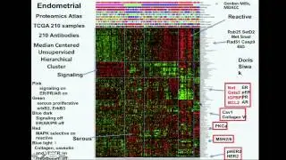 TCGA: Integrated Genomic Characterization of Endometrial Carcinoma - Douglas Levine