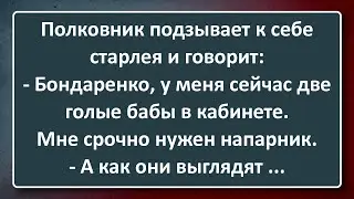 Полковник Вызвал к себе в Кабинет Старлея Бондаренко! Сборник Анекдотов Синего Предела №178