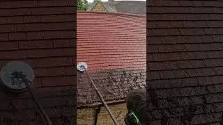 This Is Your Sign To Get Your Roof Cleaned. #satisfying #cleaning