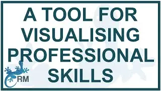 Exploring MuchSkills.com: A Tool for Visualising Professional Skills