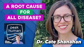 A Root Cause For All Disease? Dr. Cate Shanahan