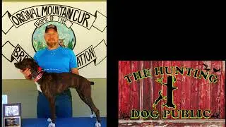 Adam O’Donnell and Porcupine Mountain Bud World Champion reproducer Episode 1 The Hunting Dog Public