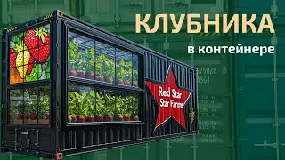 Клубничная ферма в морском контейнере