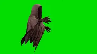 Green Screen Ghost Effects