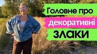 Все про злакові трави в одному відео