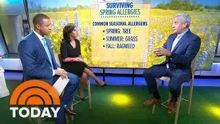 How To Survive Spring Allergies — And Prevent Them Before Symptoms Start | TODAY