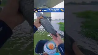 Сорвал джекпот на рыбалке 😮🔥🎣