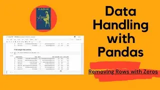 Data Handling Using Pandas || Removing Rows with zeros