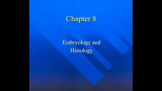 Embryology & Histology Ch.8