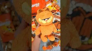 Garfield The Movie Care Package Unboxing