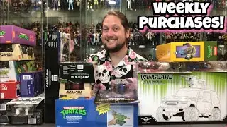 Weekly Purchases for the Week of August 25th 2024! INSANE Haul This Week!