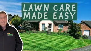 5 SIMPLE steps to a PERFECT lawn - lawn care for beginners