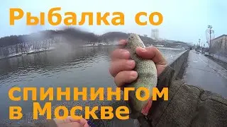 Рыбалка со спиннингом в Москве. От ТТК до Большого каменного моста. Streetfishing перед запретом.