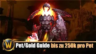 Pet/Gold Guide: 4 Elementargeister - bis zu 250k pro Pet