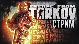 Играю с тем, что вынес за Дикого