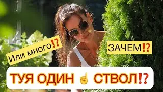 ✅ТУЯ ОДИН ☝️ СТВОЛ ИЛИ МНОГО⁉️ ЗАЧЕМ ОТРЕЗАТЬ⁉️Очень хорошо объяснила 😘