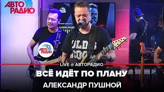 Александр Пушной - Всё Идёт По Плану (Егор Летов Cover) LIVE @ Авторадио