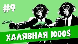 ХАЛЯВНАЯ 1000$ – ДВЕ МАКАКИ НА ДИВАНЕ