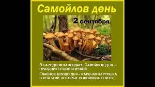 2 сентября Самойлов день