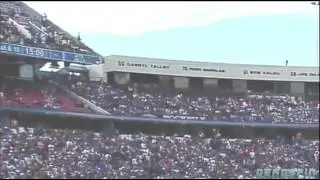 Fan Fell From Upper Deck At Ralph Wilson Stadium