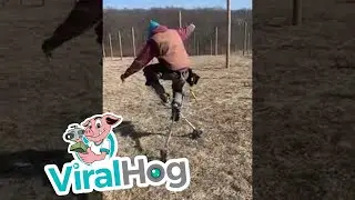 First Time Trying on Stilts || ViralHog