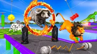 Wild Animals Obstacle Game Choose The Right Gift Box Run With Elephant Gorilla Buffalo Trex Lion