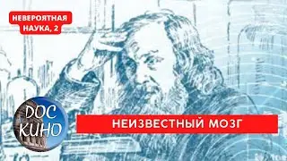 НЕВЕРОЯТНАЯ НАУКА, 2 / НЕИЗВЕСТНЫЙ МОЗГ / Рейтинг 8.5 / ДОКУМЕНТАЛЬНОЕ КИНО / 2017-2021