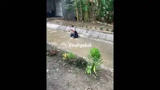 Viral!gelud kakeanPolah😂