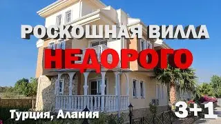 Купить виллу в Турции НЕДОРОГО 180 м кв  Дом в Алании в сосновом лесу в коттеджном посёлке