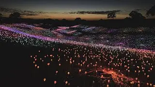 Magical Field of Light in California | My Go-To