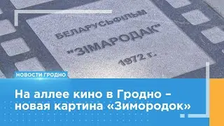 На аллее кино в Гродно – новая картина «Зимородок»