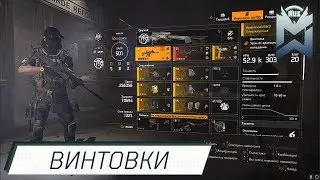 The Division 2 / Билд под Винтовки