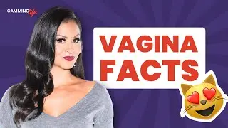 Everything you need to know about the Vagina