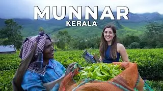 Munnar, Suryanelli Kerala in the Monsoon! The best vlog Ive ever made | #WeekendTrips India