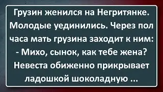 Грузин Женился на Негритянке! Сборник Изумрудных Анекдотов №29