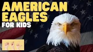 ASL American Eagle for Kids