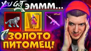 ЧТО ЭТО? ЗАБРАЛ ЗОЛОТО и ВЫБИЛ НОВЫЙ SCAR + ПИТОМЕЦ В PUBG MOBILE! ОТКРЫВАЮ НОВЫЙ КЕЙС В ПУБГ МОБАЙЛ