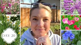 Holidays in the Garden Day 20! :: Planting Native Seeds for a Random Act of Kindness! 💗