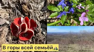 3️⃣5️⃣0️⃣💪В ГОРЫ всей семьёй✅Мы это смогли сделать⛰️😅Наша ошибка: быстро пошли😏